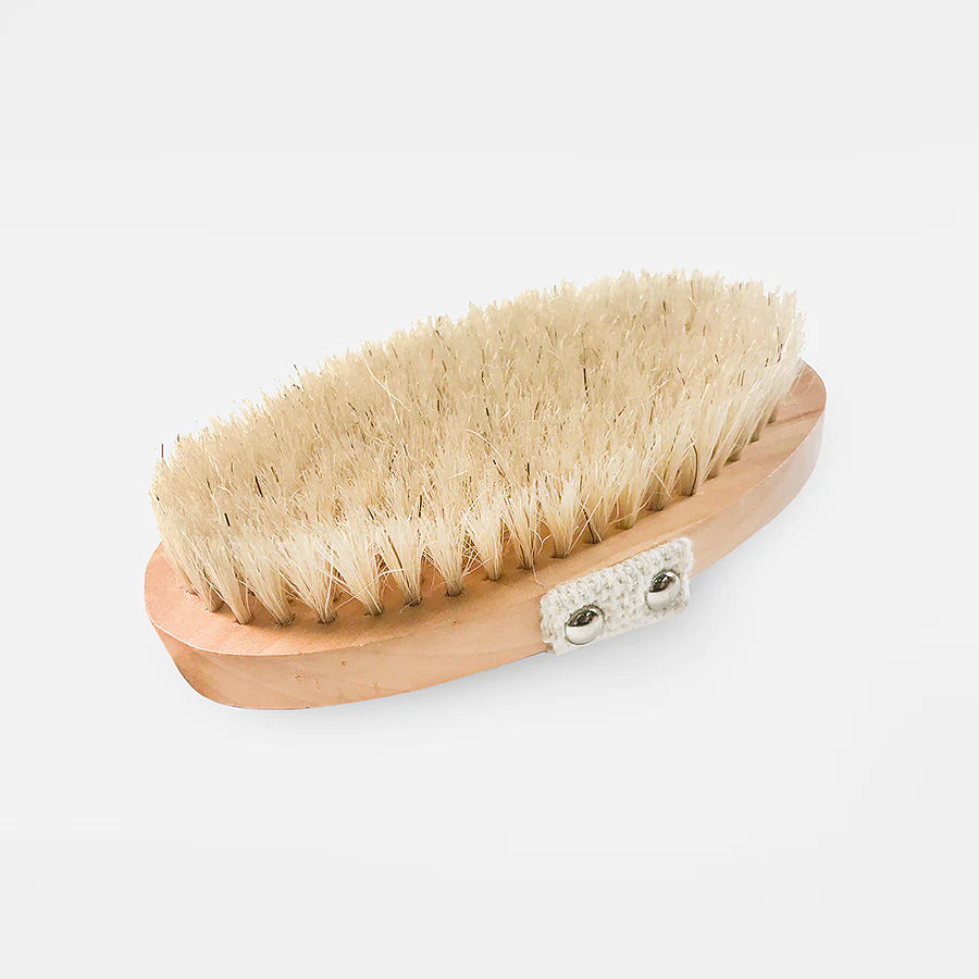 Spa Sister Body Brush w/Detachable Handle