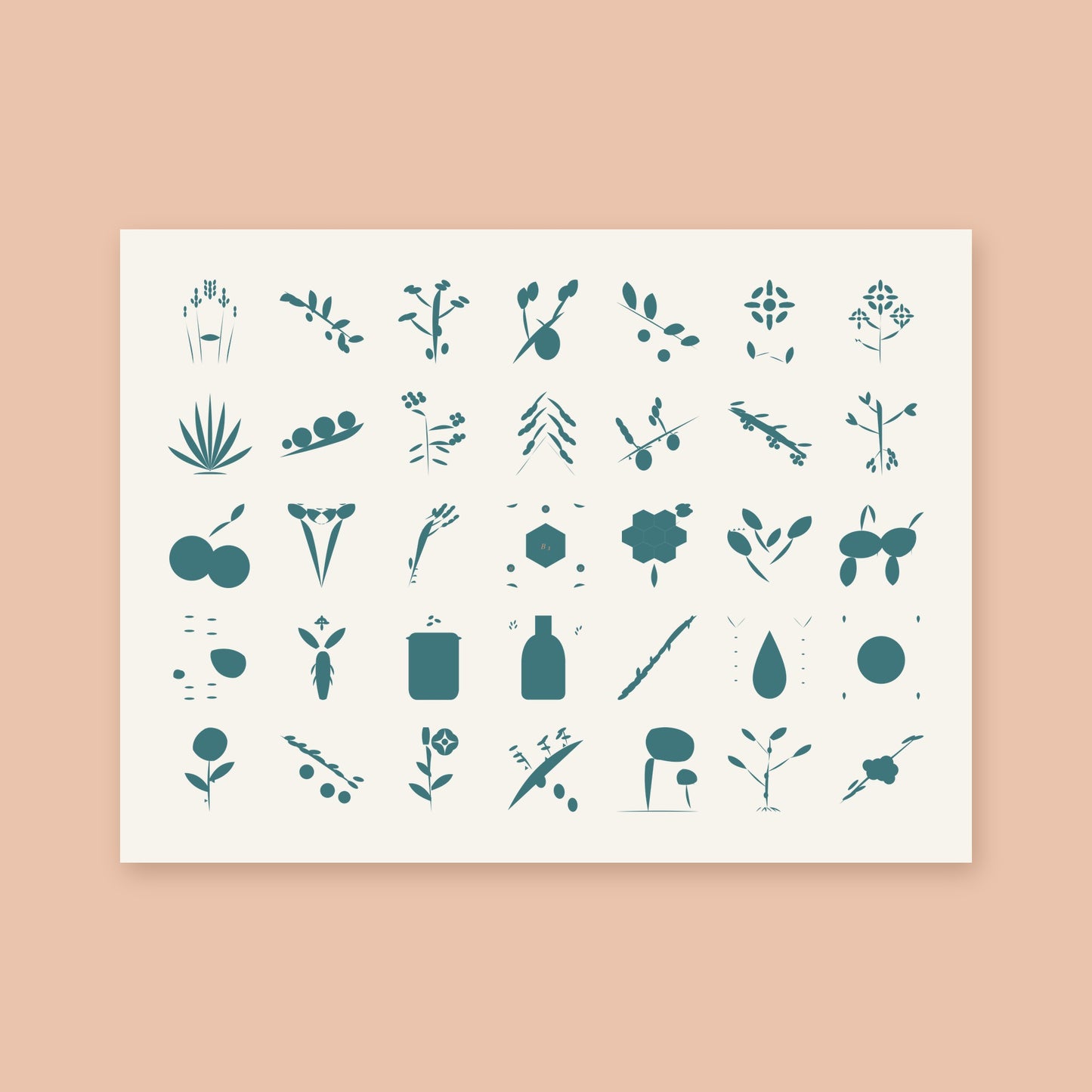 The Botanical Library, Volume One