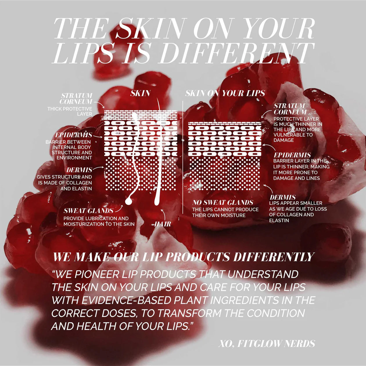 LIP COLOUR SERUM