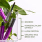 PLANT PROTEIN BROW GEL