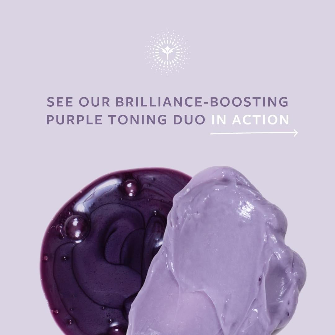 Bright and Balanced Purple Toning Duo