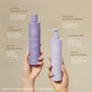 Bright and Balanced Purple Toning Duo